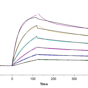 SPR with Human HLA-A*02:01&B2M&P53 R175H (HMTEVVRHC) Monomer Protein 5006
