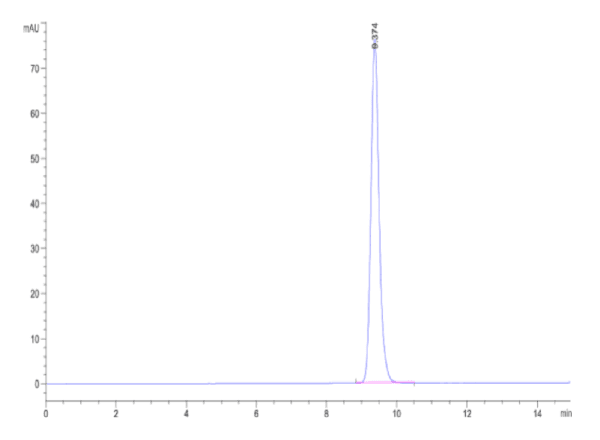 HPLC of Biotinylated Human HLA-A*02:01&B2M&CMV pp65 (NLVPMVATV) Monomer 5015