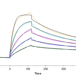 SPR with Human CCR7 Protein-Nanodisc 5019