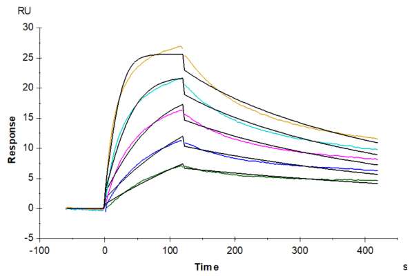 SPR with Human CCR7 Protein-Nanodisc 5019