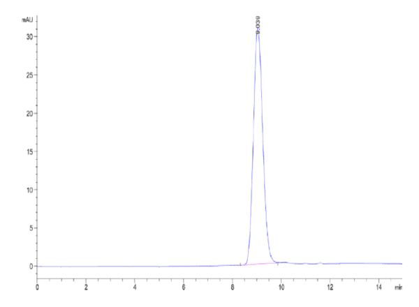 HPLC of Biotinylated Human IL-10 R alpha Protein 5031