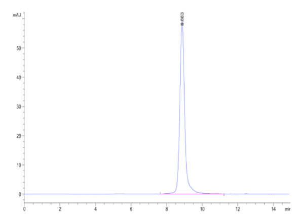 HPLC of Mouse Qa-1b&B2M&Qdm (AMAPRTLLL) Monomer Protein 5033