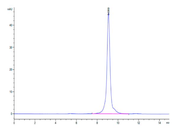 HPLC of Rat Coagulation Factor II?Protein 5035