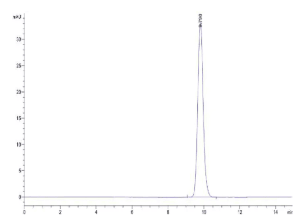 HPLC of Human Fibronectin (1266-1356) Protein 5036