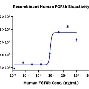 Cell based assay with Human FGF8b?Protein 5037