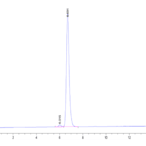 HPLC of Human HLA-A*11:01&B2M&KRAS G12S (VVVGASGVGK) Tetramer Protein 5040