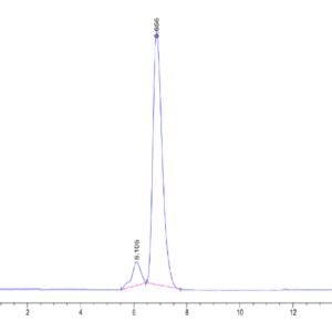 HPLC of Human HLA-A*11:01&B2M&KRAS G12C (VVVGACGVGK) Tetramer Protein 5041