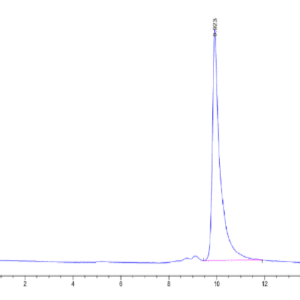 HPLC of Human S100A14?Protein 5042