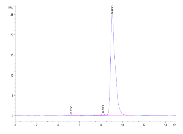 HPLC of Human IGFII Protein 5047