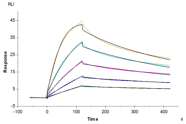 SPR with Human TNFSF15 Protein 5049