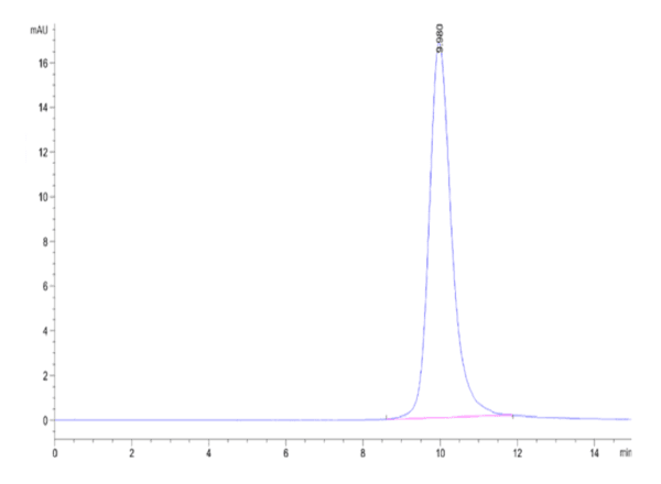 HPLC of SARS-CoV-2 Spike RBD (Omicron BA.2.74) Protein 5050