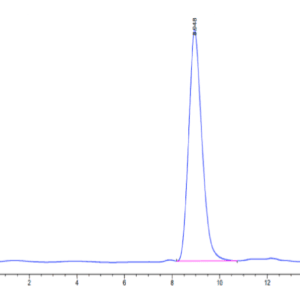 HPLC of Human Fibronectin (32-345) Protein 5051