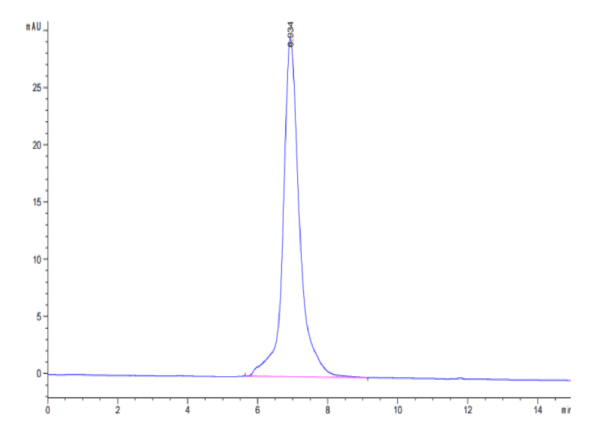 HPLC of Cynomolgus IGF1R/CD221 Protein 5056