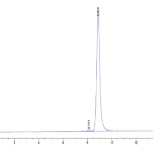 HPLC of Human HLA-A*11:01&B2M&KRAS G12A (VVVGAAGVGK) Monomer Protein 5058