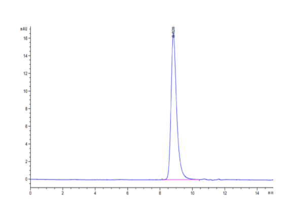 HPLC of Cynomolgus TNFR1/CD120a/TNFRSF1A Protein 5065