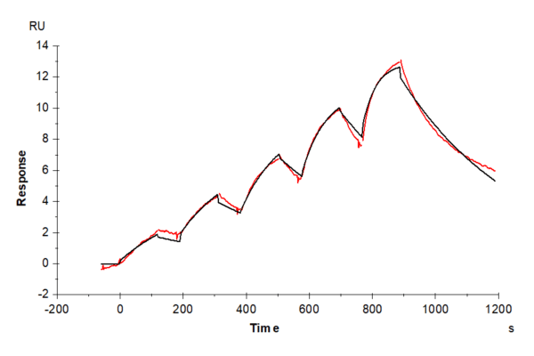 SPR with Cynomolgus IL-3 Protein 5066