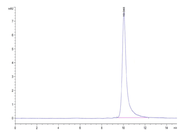 HPLC of Cynomolgus IL-3 Protein 5066