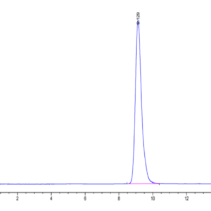 HPLC of Human LAMP5 Protein 5067