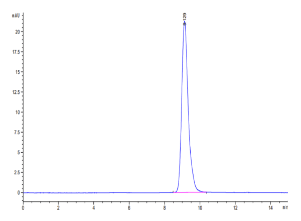 HPLC of Human LAMP5 Protein 5067