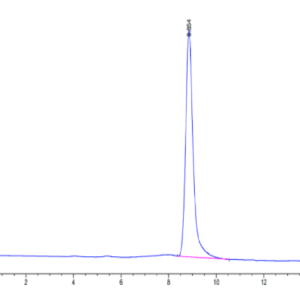 HPLC of Mouse B7-H3/CD276 Protein 5077