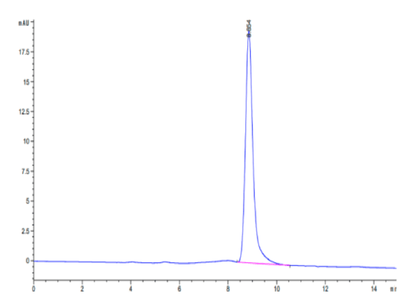 HPLC of Mouse B7-H3/CD276 Protein 5077