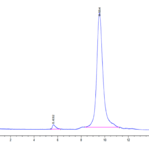HPLC of Human uPAR/PLAUR Domain 3 protein 5080