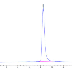 HPLC of Human GGT1 Protein 5085