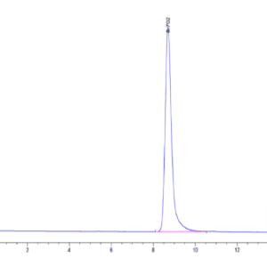 HPLC of Human HLA-A*02:03&B2M&AFP (FMNKFIYEI) Monomer Protein 5086