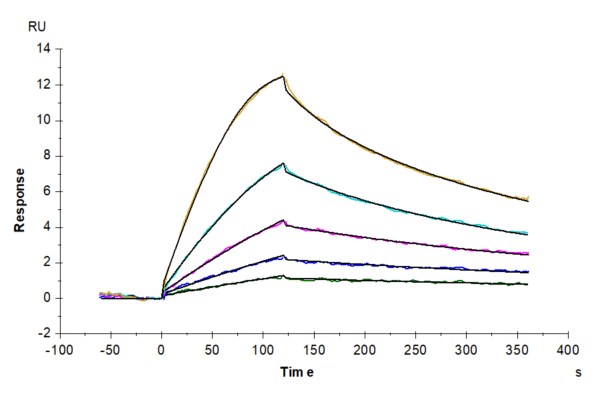 SPR with Mouse GDF15 Protein 5088