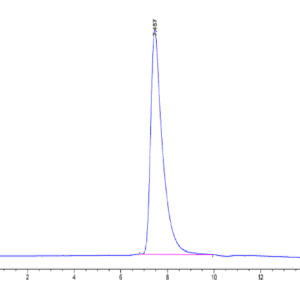 HPLC of Human DKK1 N terminal Domain Protein 5095