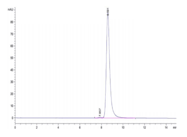 HPLC of Biotinylated Human HLA-A*02:01&B2M&HBV (FLLTRILTI) Monomer Prot 5096