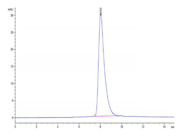 HPLC of Mouse IL-2 R gamma/CD132 Protein 5098