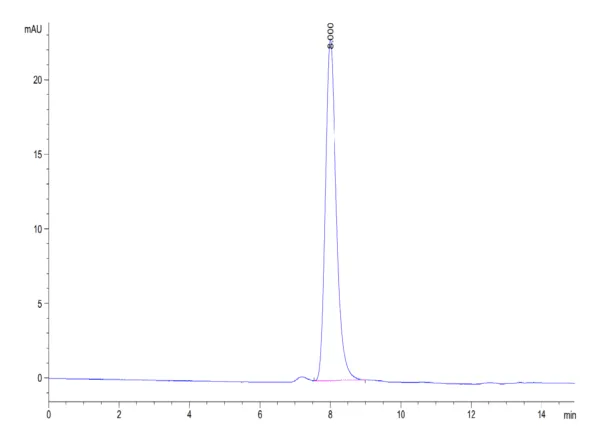 HPLC of Rhesus macaque Integrin alpha V beta 8 (ITGAV&ITGB8) Heterodime 5105