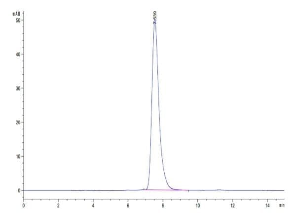 HPLC of Biotinylated Human HLA-A*02:01&B2M&NY-ESO-1 (SLLMWITQV) Monomer 5106