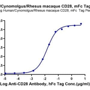 ELISA with Human/Cynomolgus/Rhesus macaque CD28 Protein 5113