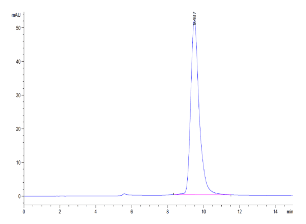 HPLC of Mouse Fc gamma RIV/CD16-2 Protein 5119