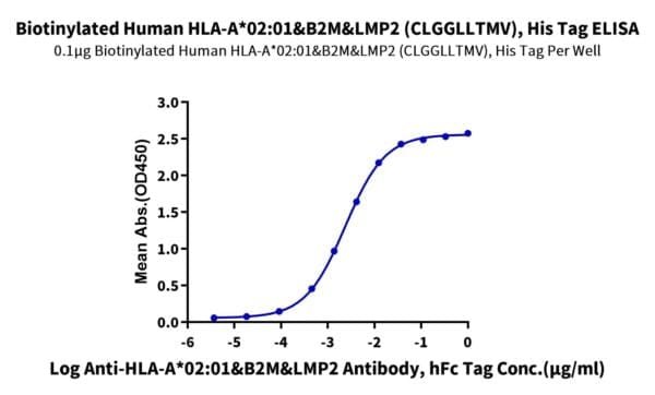 ELISA with Biotinylated Human HLA-A*02:01&B2M&LMP2 (CLGGLLTMV) Monomer  5120