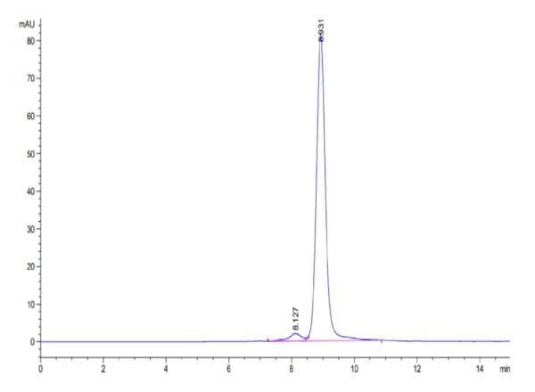 HPLC of Biotinylated Human HLA-A*02:01&B2M&LMP2 (CLGGLLTMV) Monomer Pro 5120