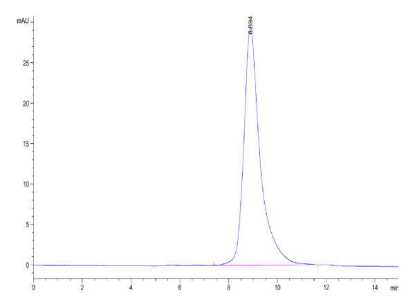 HPLC of Mouse CLEC10A Protein 5121