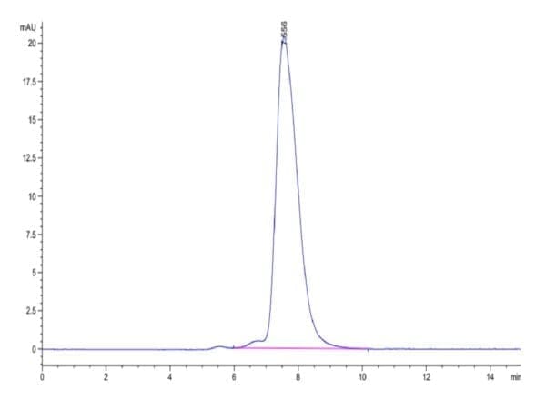 HPLC of Human NKp46/NCR1/CD335 Protein 5126