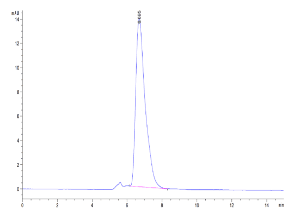 HPLC of Mouse IL-15RA/IL-15 R alpha/CD215 Protein 5129