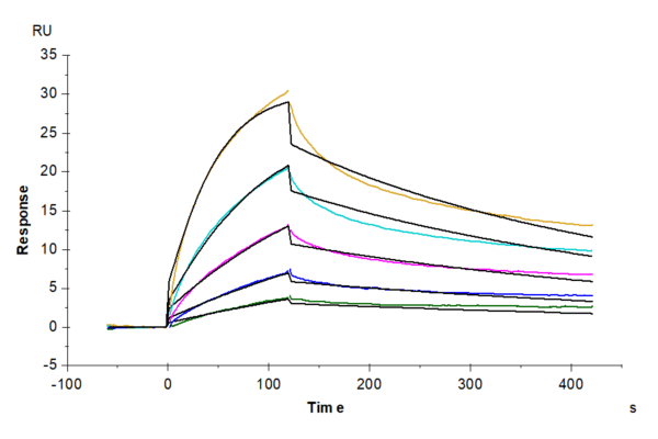 SPR with Mouse APOE/Apolipoprotein E Protein 5136