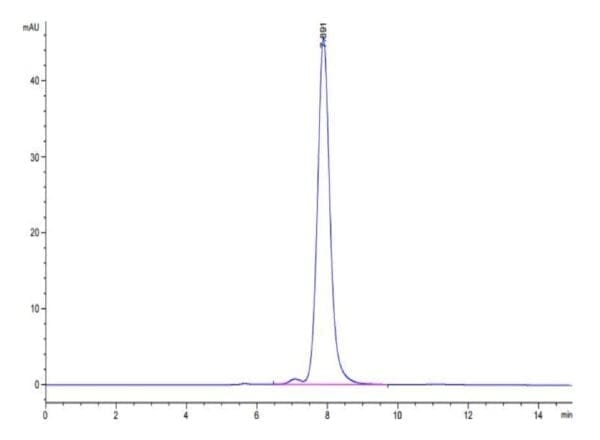 HPLC of Human NKG2A&CD94 Protein 5138