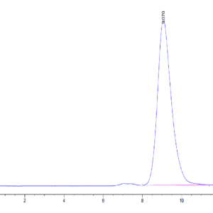 HPLC of Mouse BST1 Protein 5148