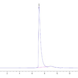 HPLC of Human CD229/SLAMF3 Protein 5169