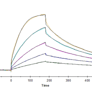 SPR with Cynomolgus B7-1/CD80 Protein 5175