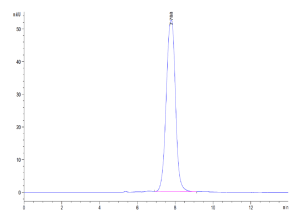 HPLC of Human ANGPTL2/Angiopoietin-like 2 Protein 5177