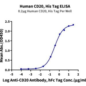 ELISA with Human CD20/MS4A1 Protein 5181