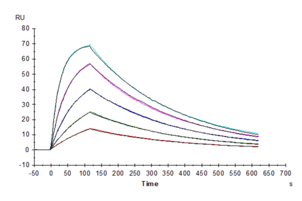 SPR with Human SIRP alpha/CD172a Protein 5184