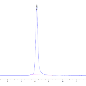 HPLC of Human SIRP Beta/CD172b Protein 5194